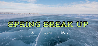 OPEN CALL FOR NWT ARTISTS - SPRING BREAK UP EXHIBITION