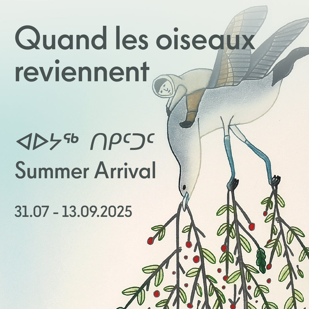Quand les oiseaux reviennent - ᐊᐅᔭᖅ ᑎᑭᑦᑐᑦ - Summer Arrival
