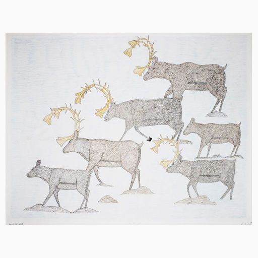 Cee Pootoogook