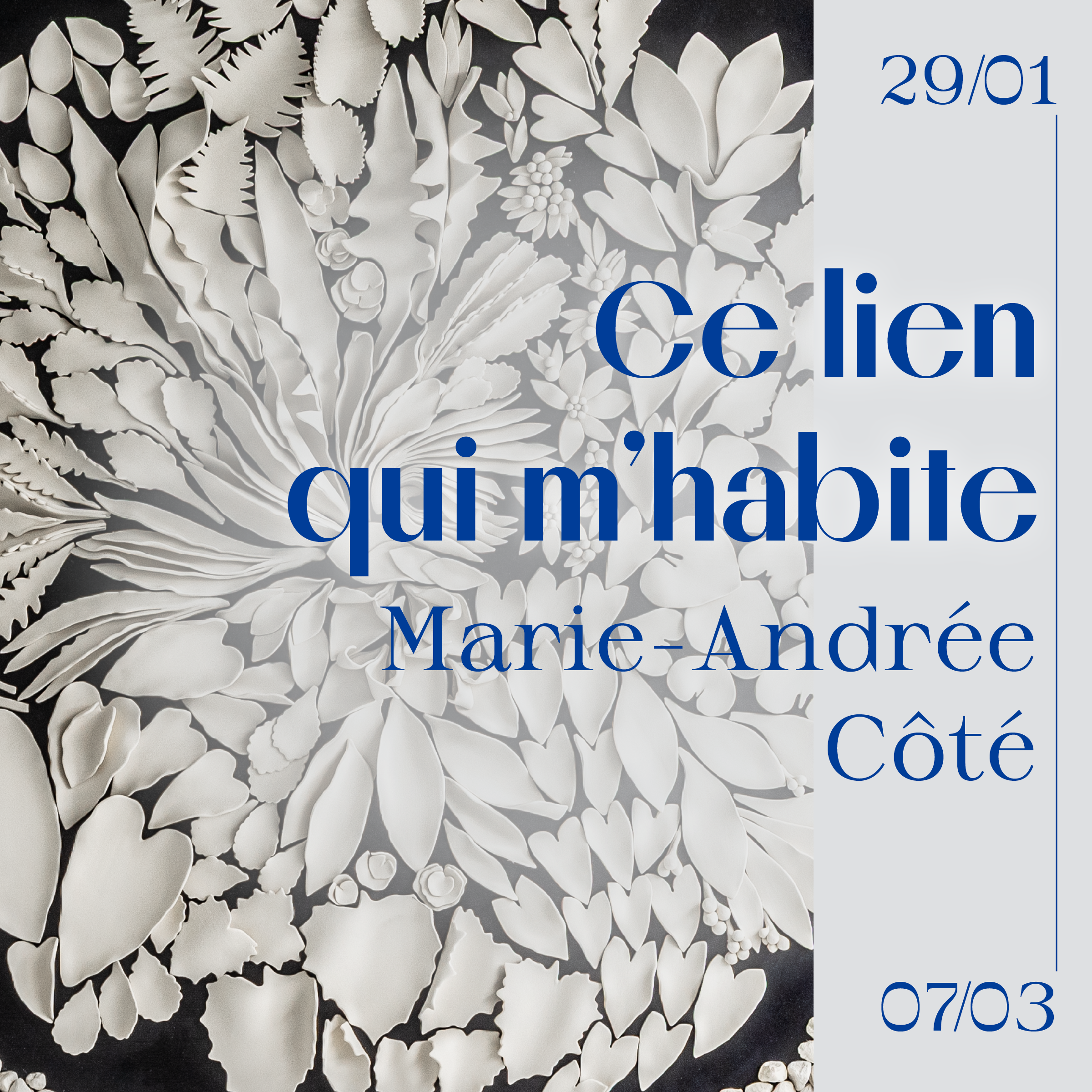 Ce lien qui m'habite | Marie-Andrée Côté