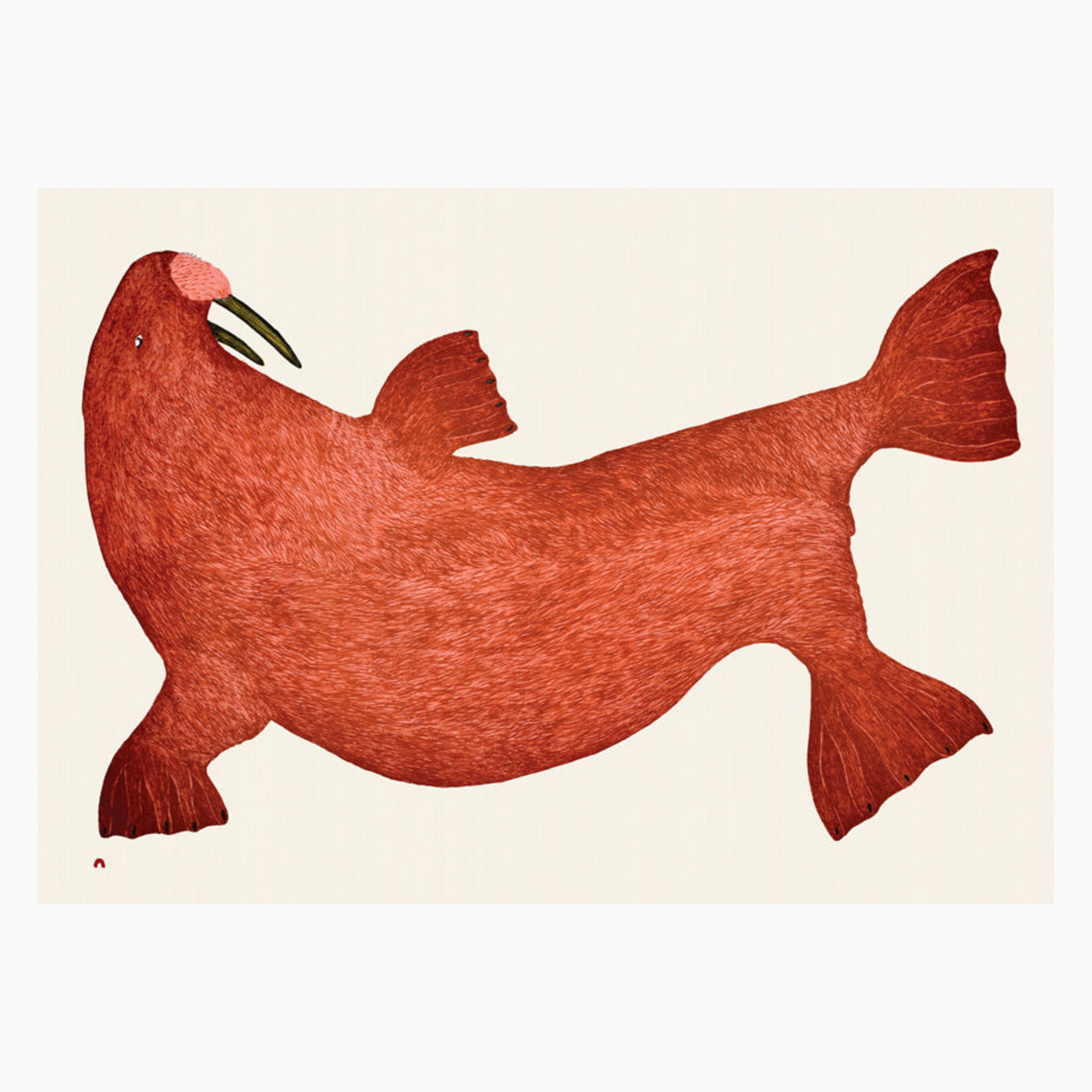 Carte Red Walrus