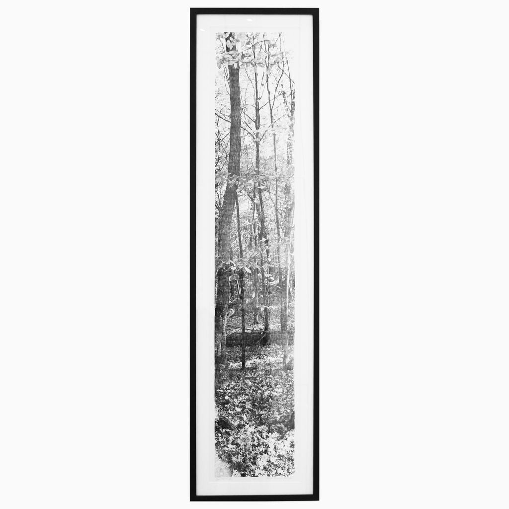 Automne no.1, ed. 1/3