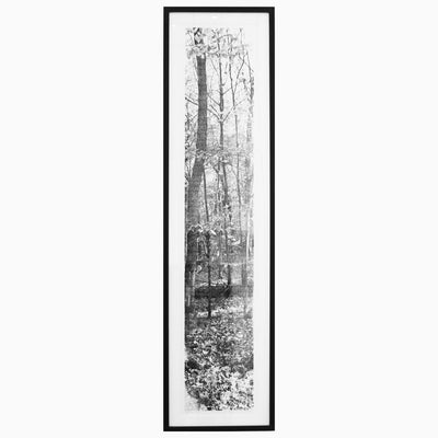 Automne no.1, ed. 1/3