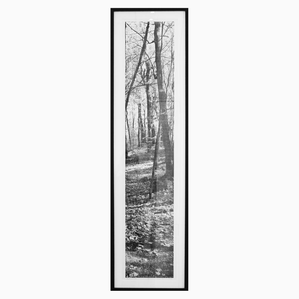 Automne no.2, ed. 1/3
