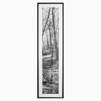Automne no.2, ed. 1/3