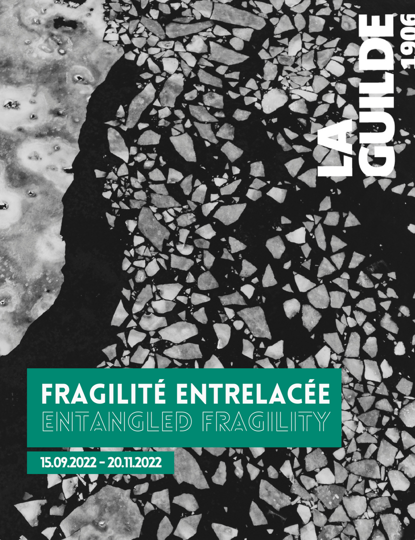 Catalogue d'exposition Fragilité entrelacée