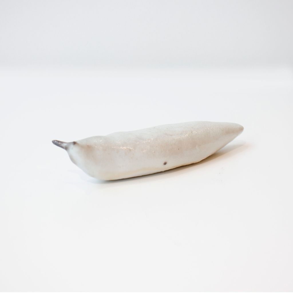 Slug #20 (Variation Series)