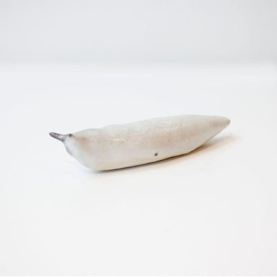 Slug #20 (Variation Series)