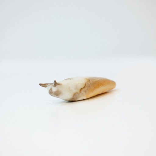 Slug #11 (Variation Series)