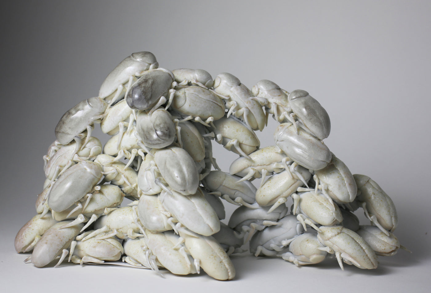 Cockroaches
