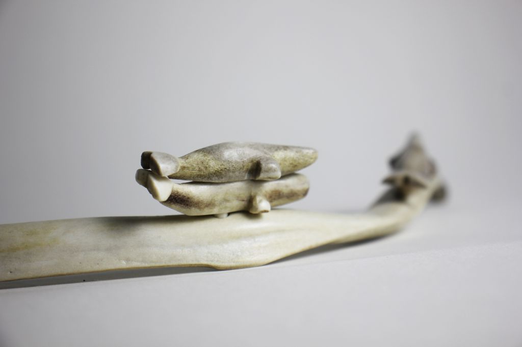 Sans Titre (belugas group)