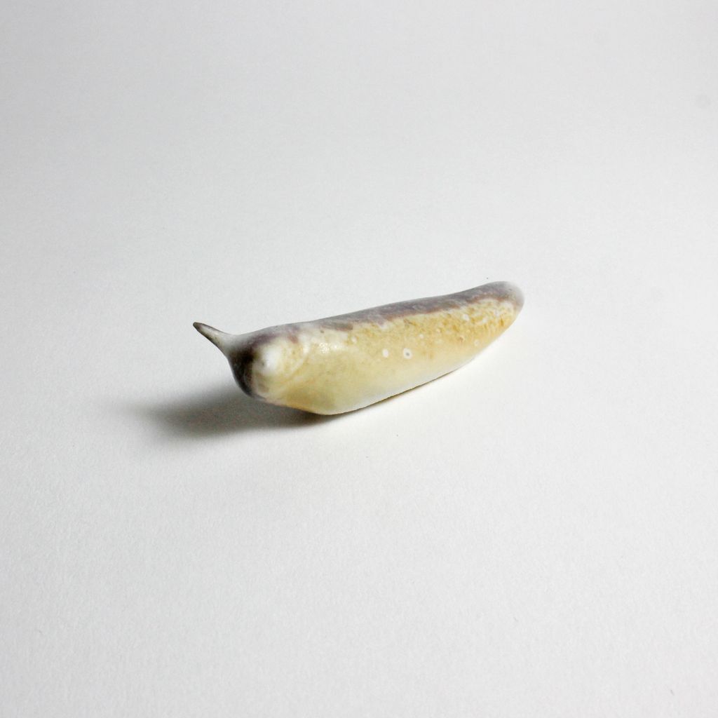 Slug 3 (serie C)