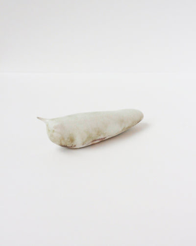 Slug 4 (Spring 2025)