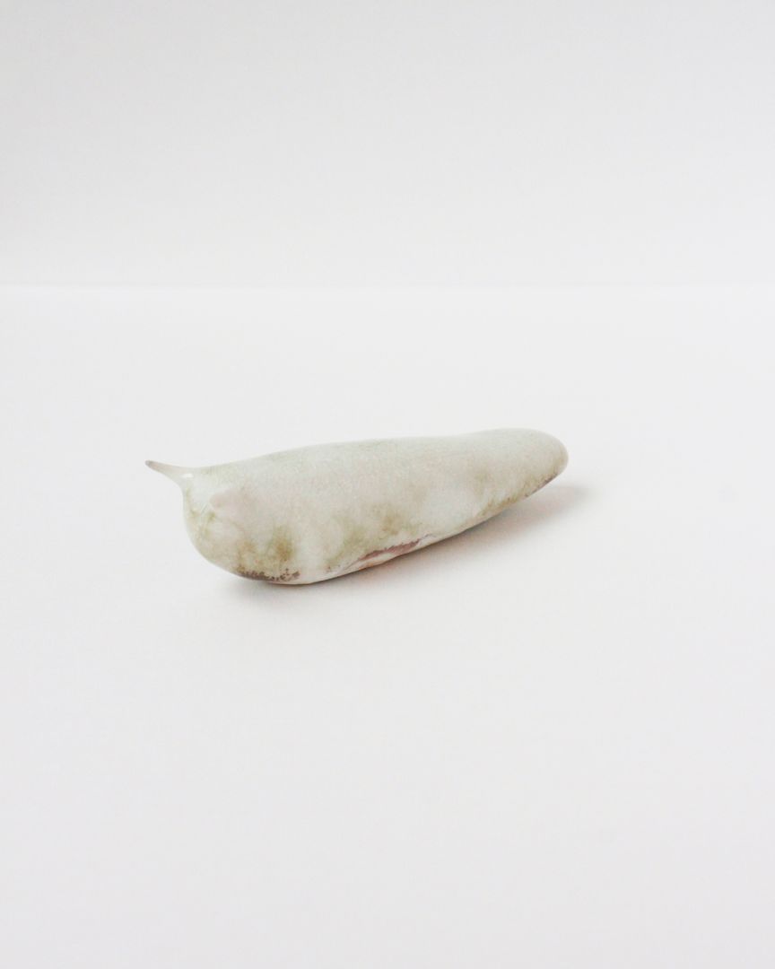 Slug 4 (Spring 2025)