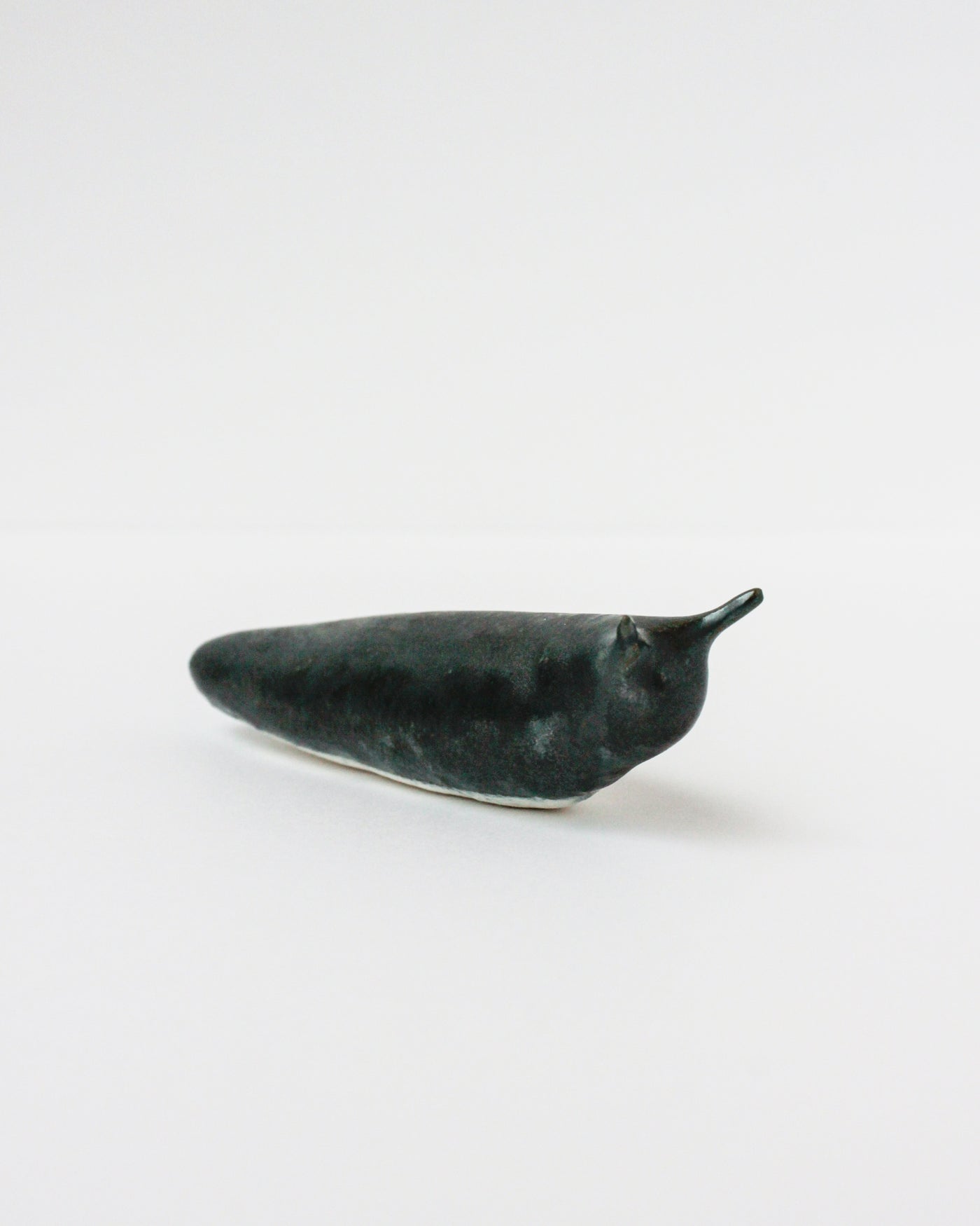 Slug 5 (Spring 2025)
