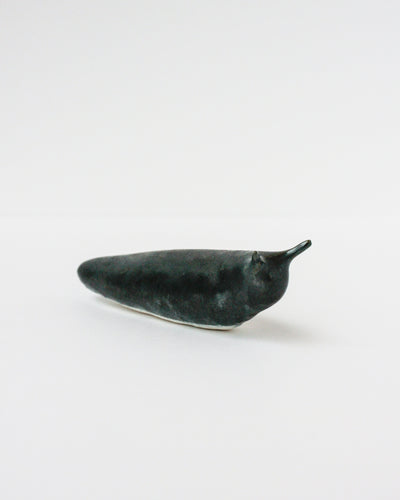 Slug 5 (Spring 2025)
