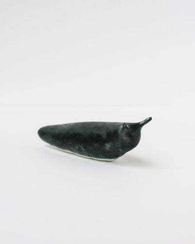 Slug 5 (Spring 2025)