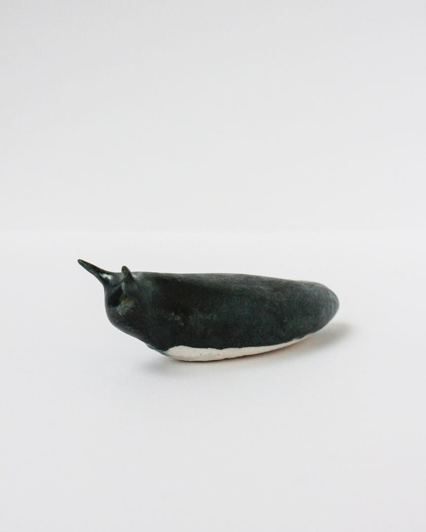 Slug 5 (Spring 2025)