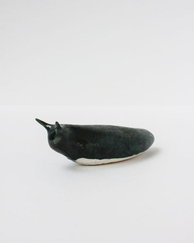 Slug 5 (Spring 2025)