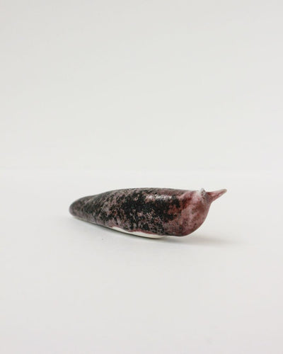 Slug 8 (Spring 2025)