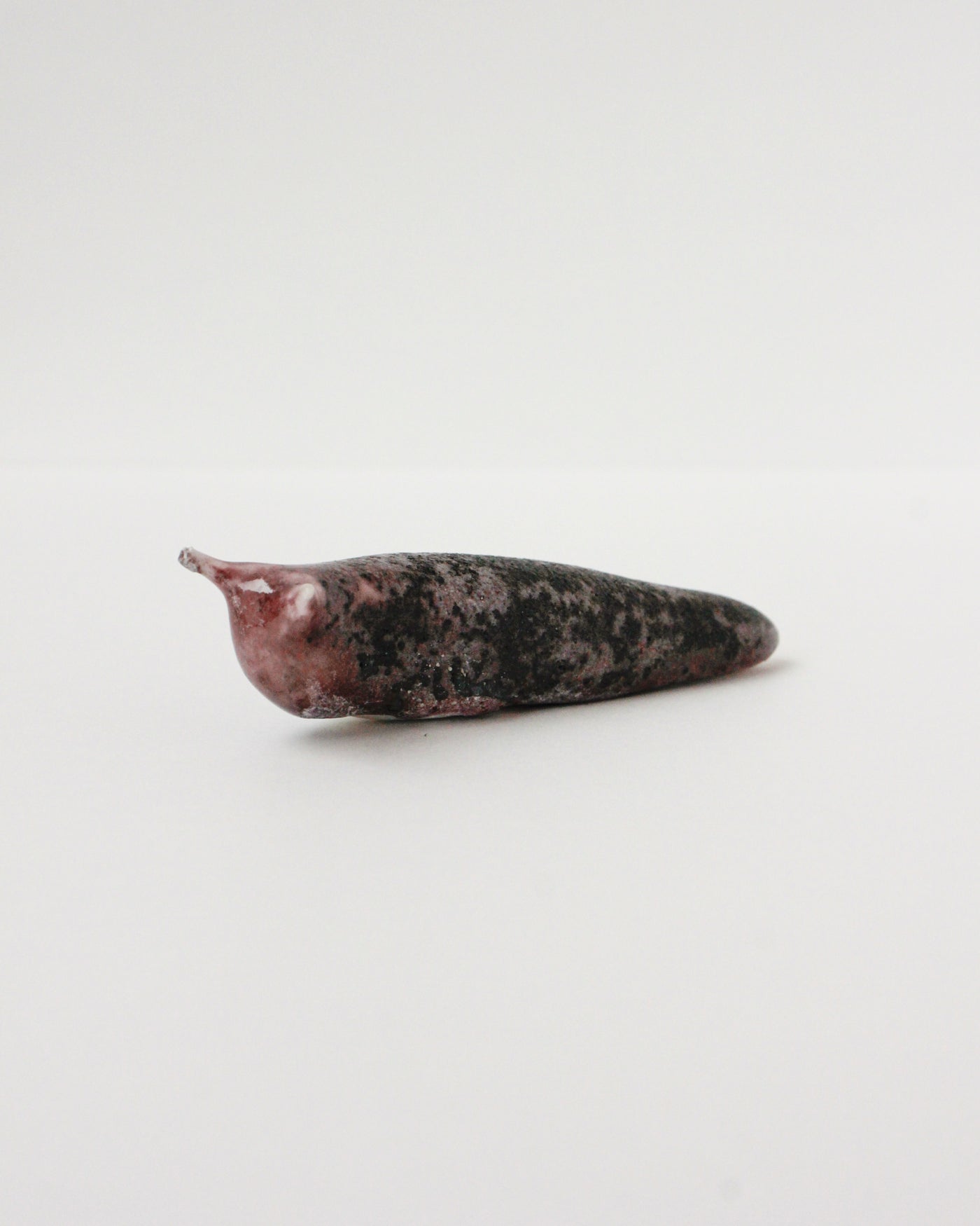 Slug 8 (Spring 2025)