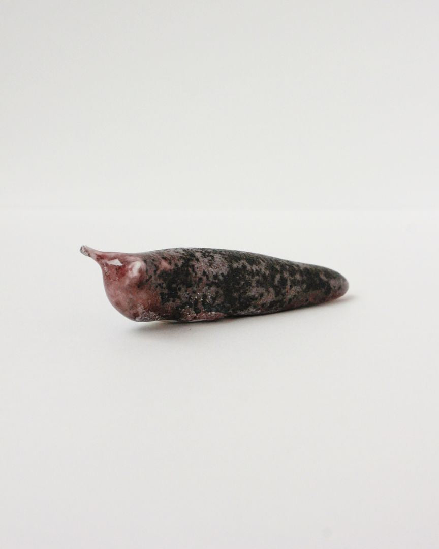 Slug 8 (Spring 2025)