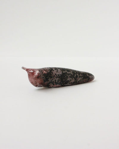 Slug 8 (Spring 2025)