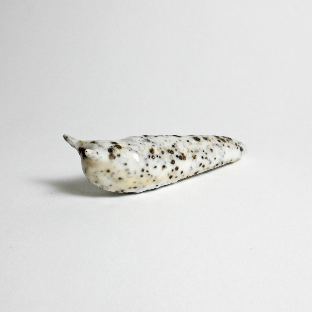 Slug 7 (Série B)