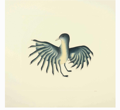 Shorebird