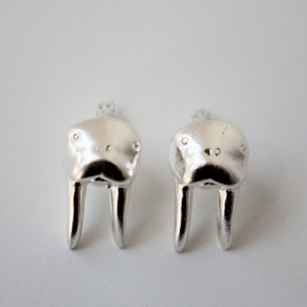 Walrus Stud