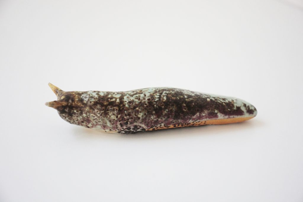 Slug 14 (Salt 2025)