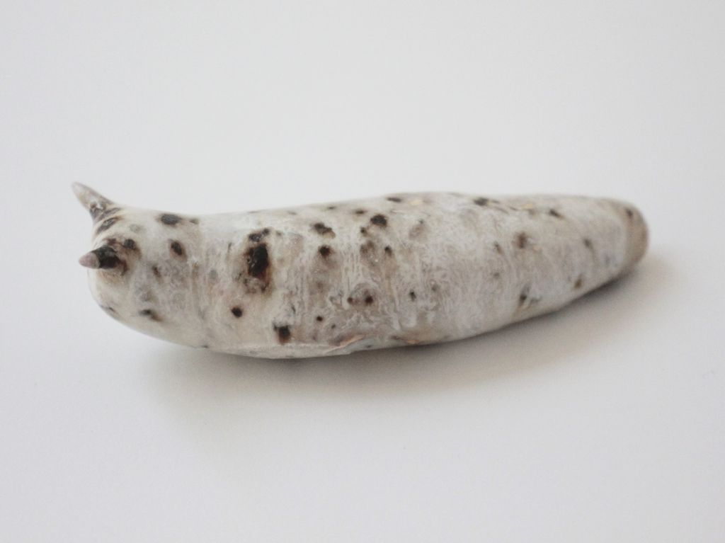 Slug 10 (Salt 2025)