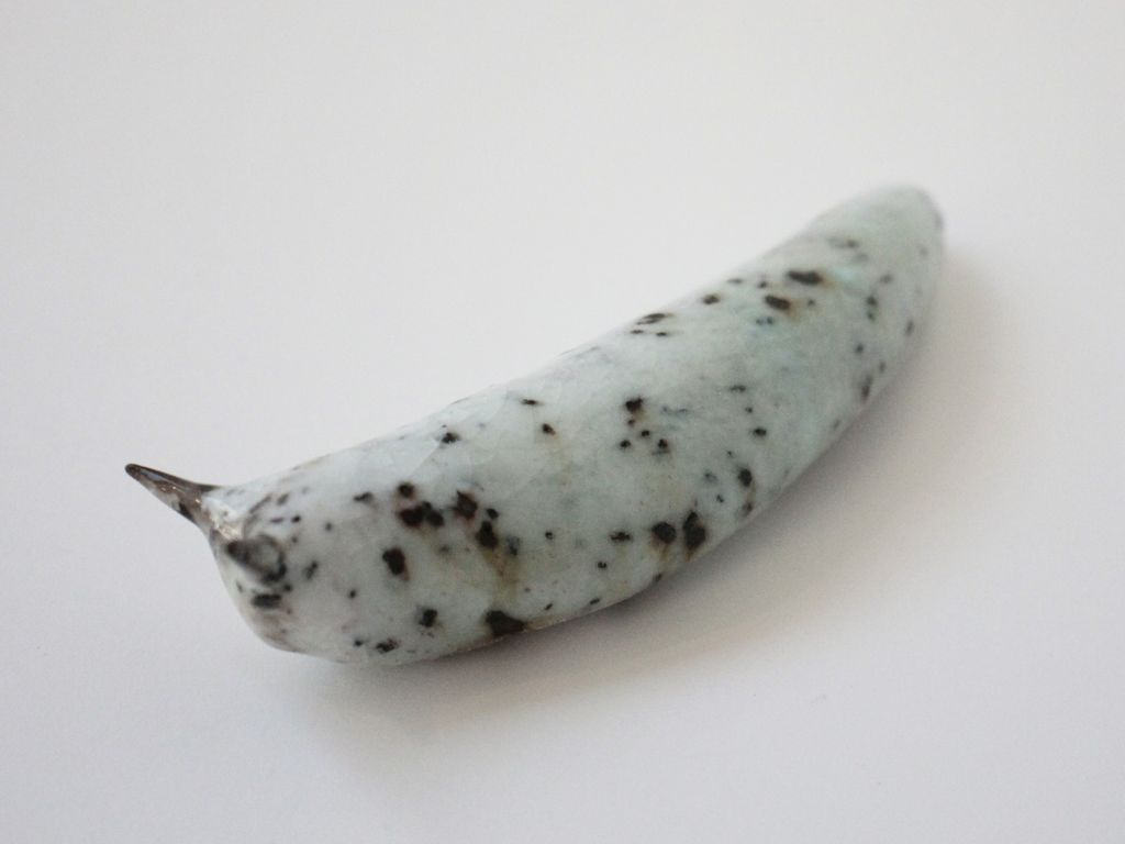 Slug 7 (Salt 2025)