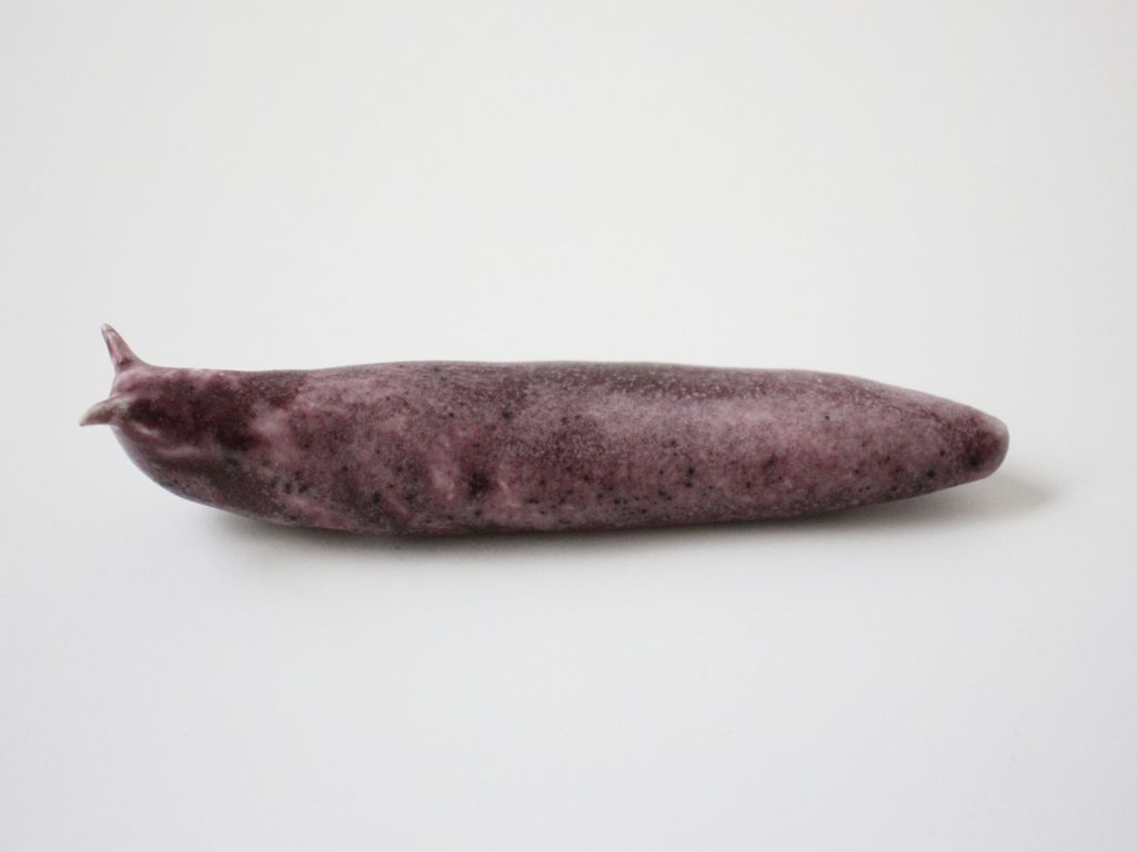 Slug 1 (Salt 2025)
