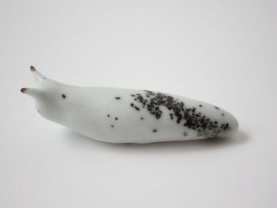 Slug 3 (Salt 2025)