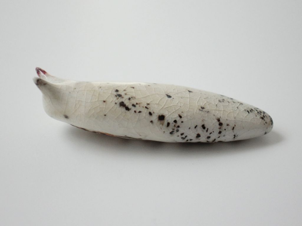 Slug 5 (Salt 2025)