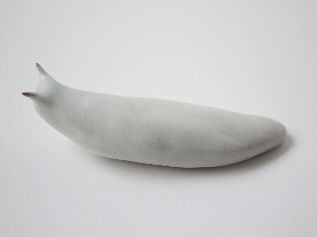 Slug 9 (Salt 2025)