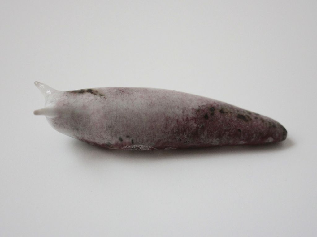 Slug 12 (Salt 2025)