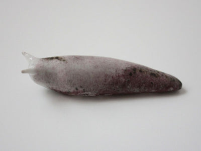 Slug 12 (Salt 2025)