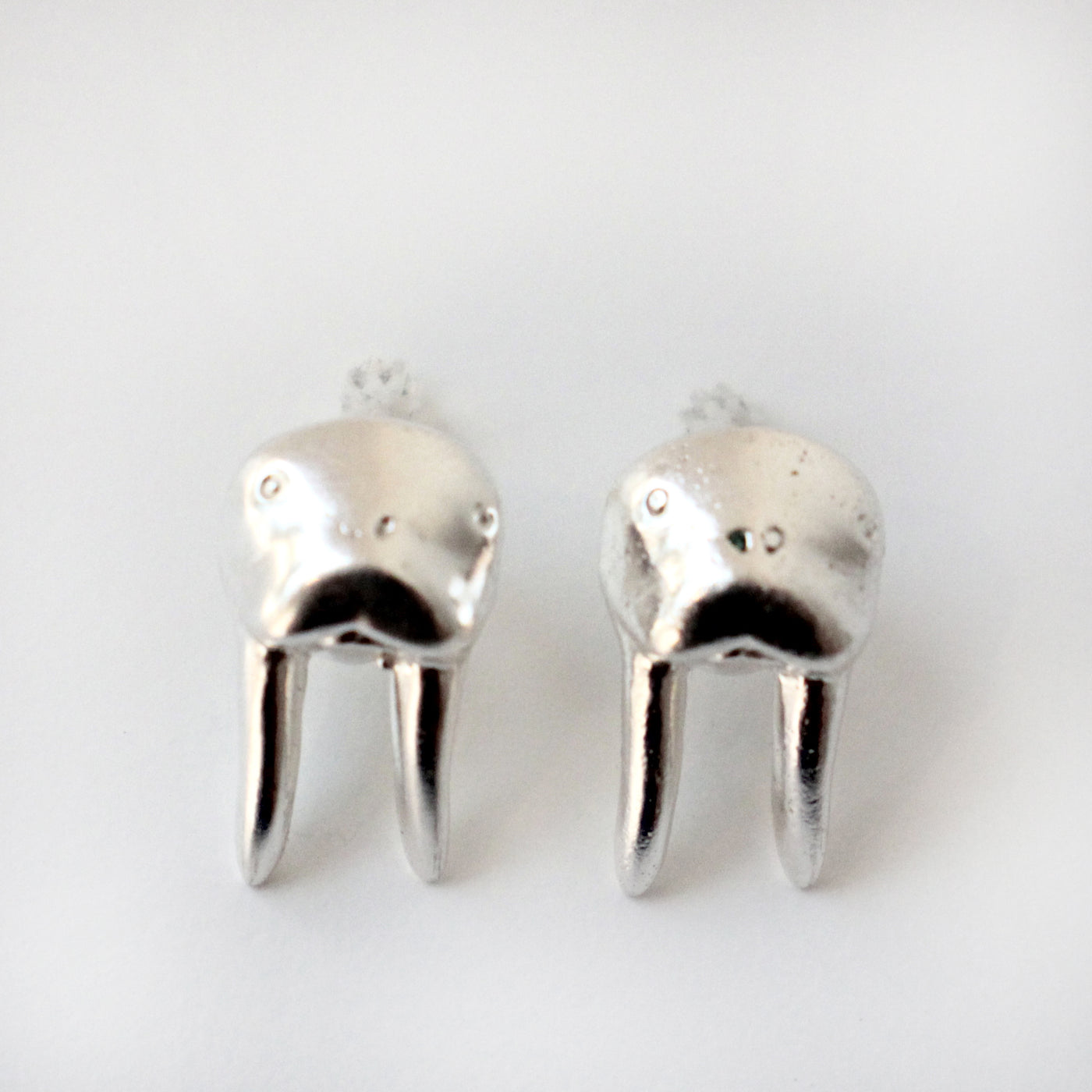 Walrus Stud