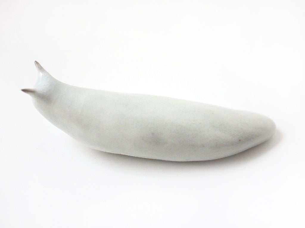 Slug 9 (Salt 2025)