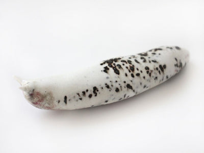 Slug 8 (Salt 2025)