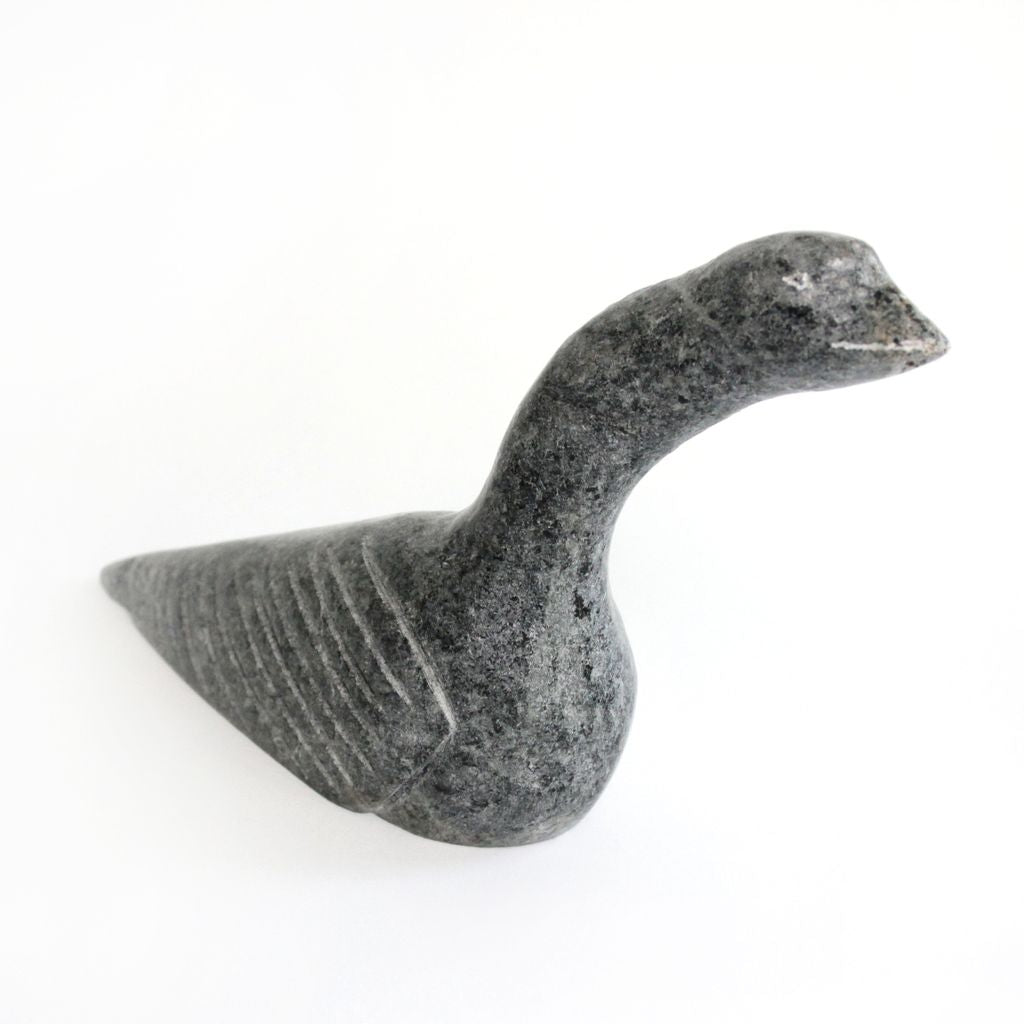 Sans Titre (Bird)