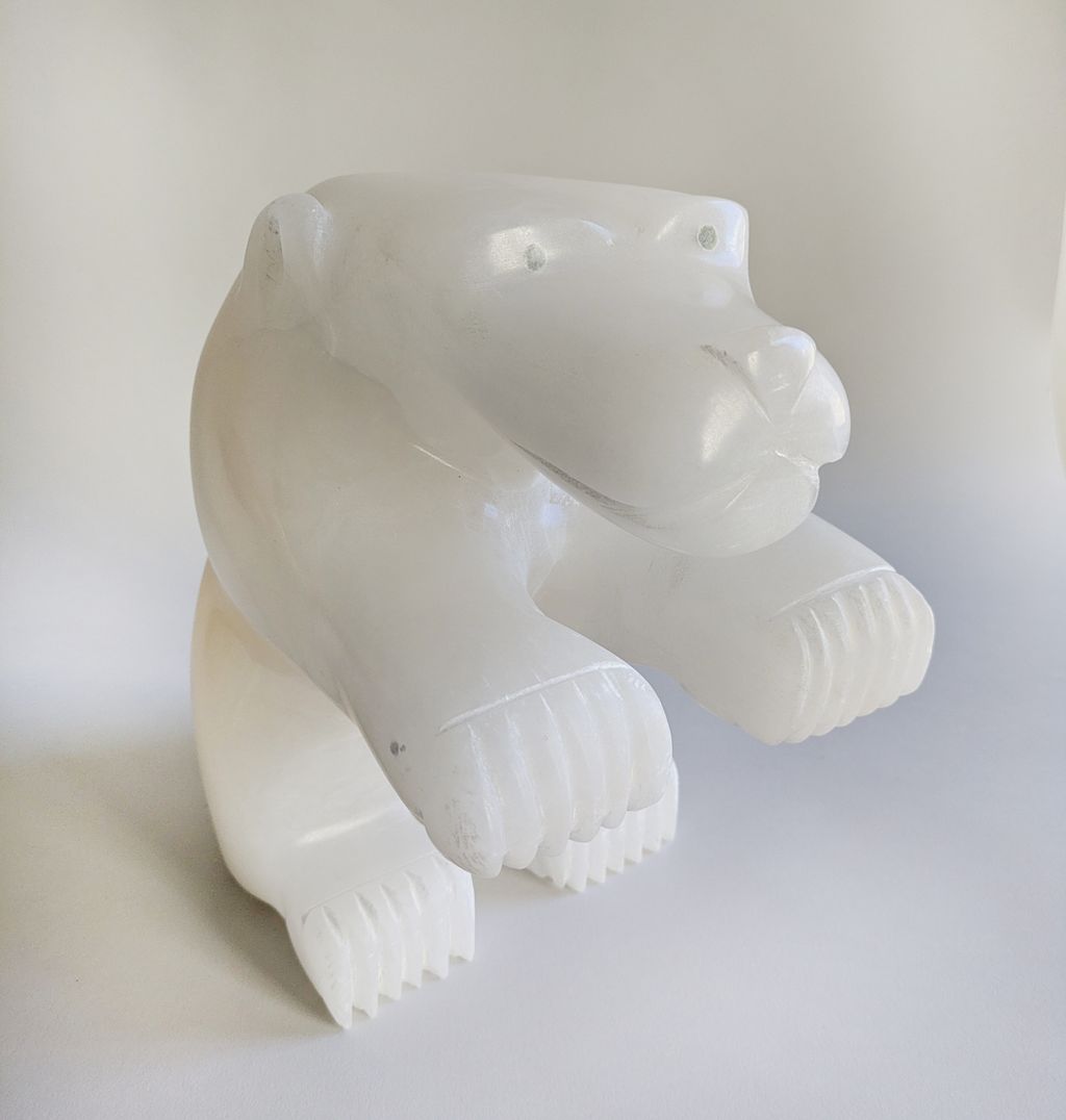 Polar Bear