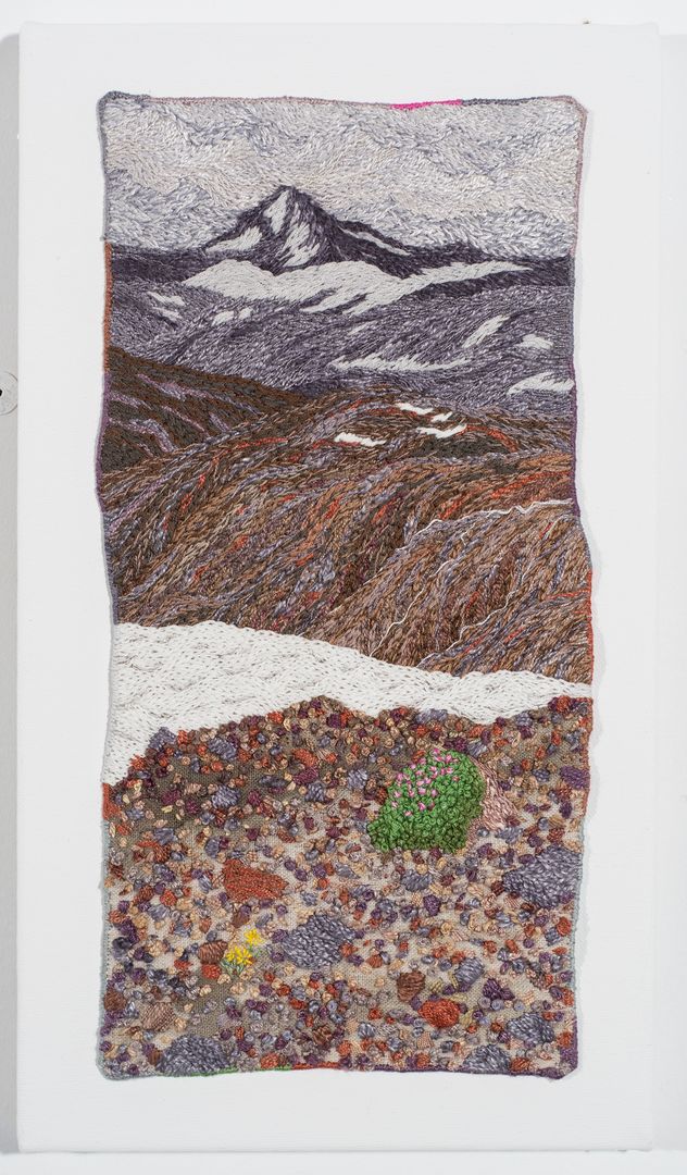 Not Barren (Moss Campion - Silene acaulis)