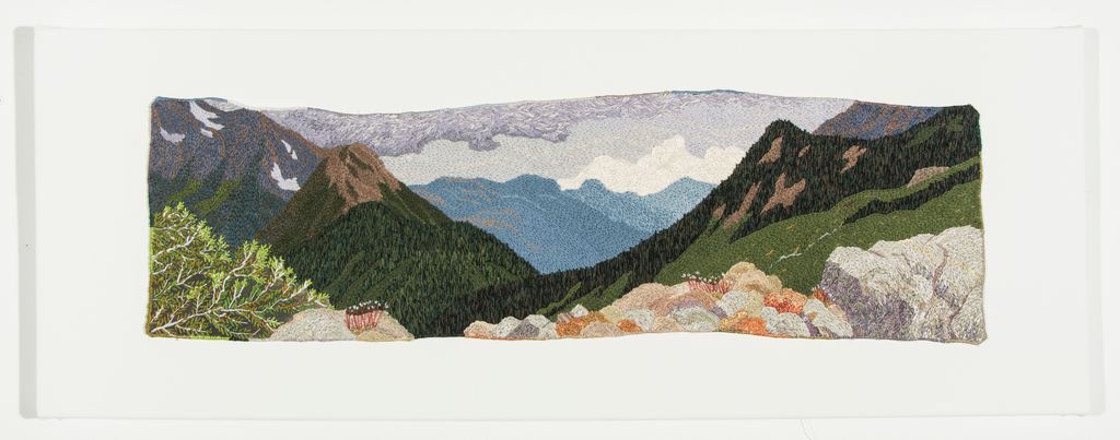 Saxifrage (Selkirk range)