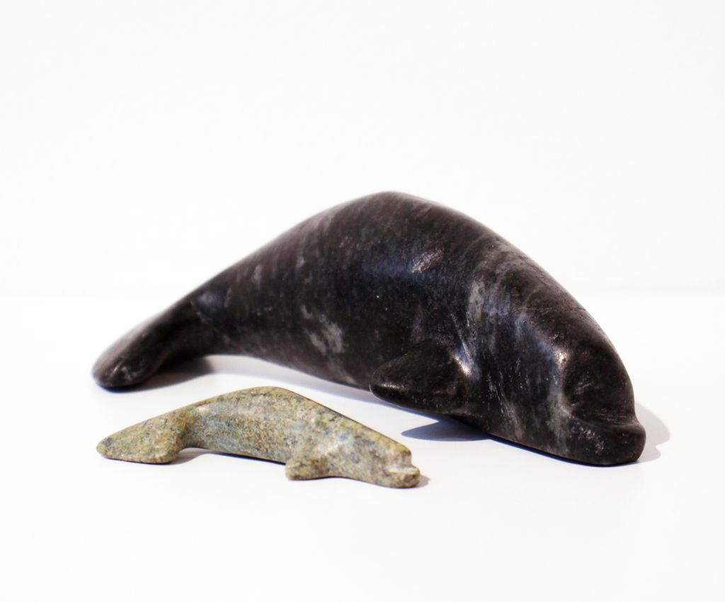 Beluga Whale with Young