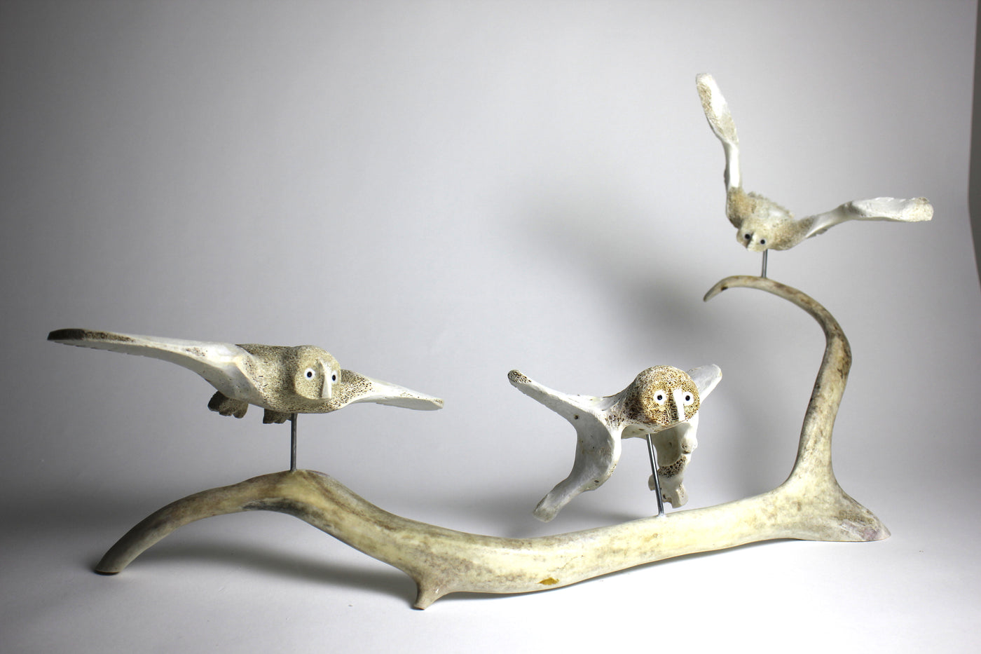 Flying 3 Owls on Base