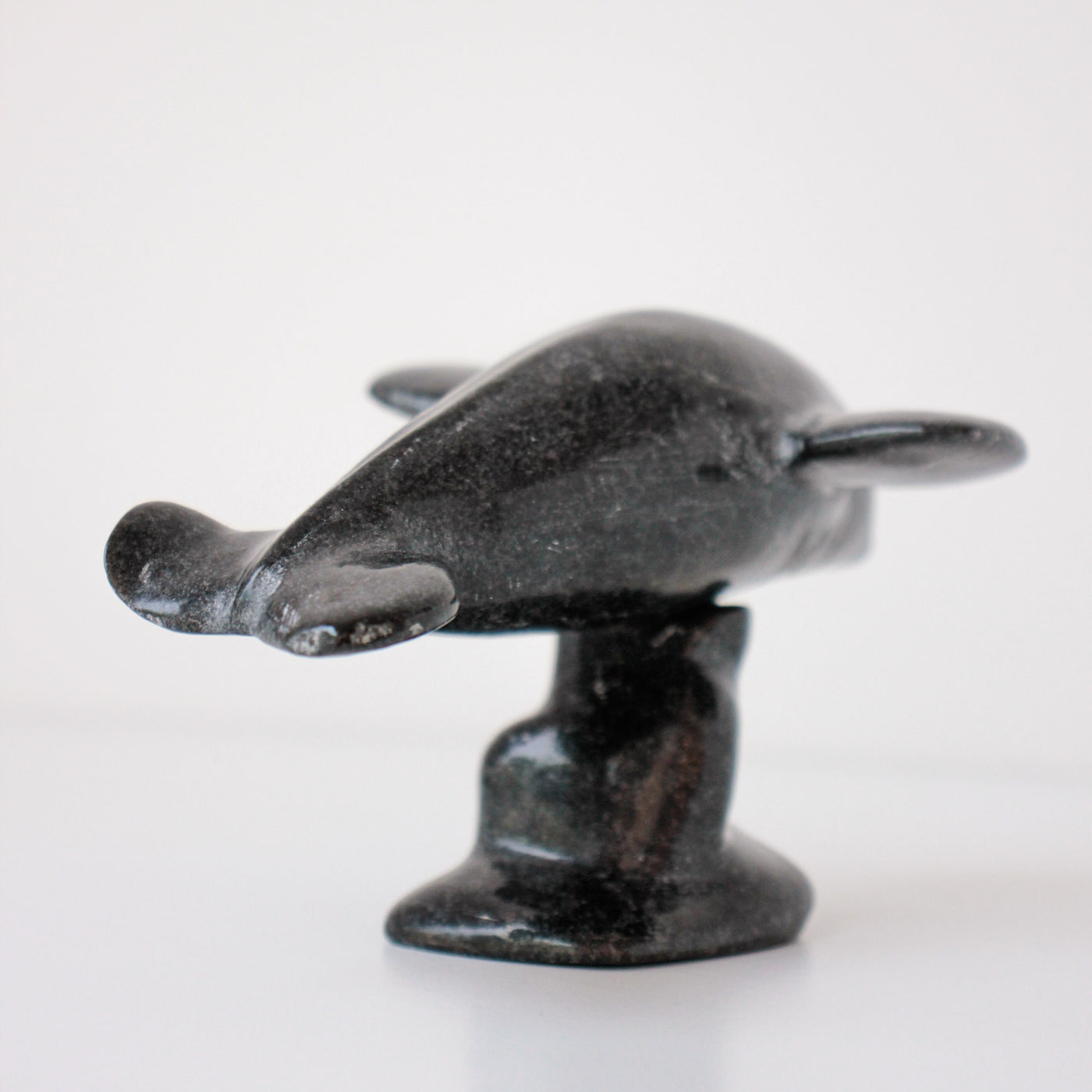 Sans Titre (Whale)