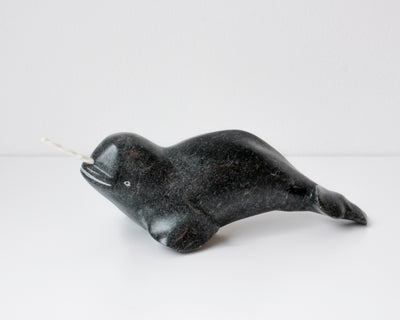 Sans Titre (Narwhal)